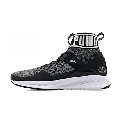 (W) Puma Ignite evoKNIT 'Grey'