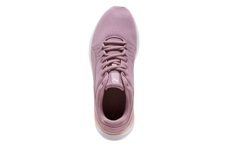 Shop (W) Puma Adela Mesh Low Top 'Rosa' 370068-02