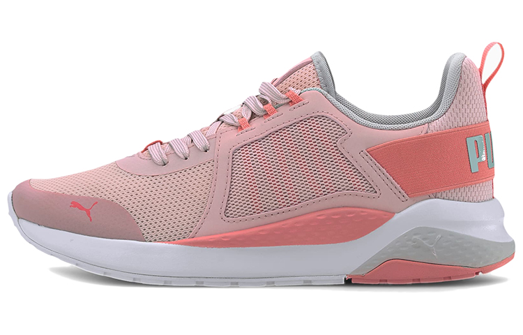 Buy プーマ アンザラン ピンク ロー (グレー/白/ピンク) 371131-14