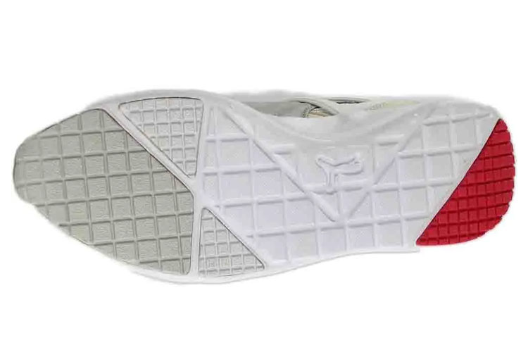 Purchase (W) Puma Aril Basic Sports ''Wit'' 358623-03