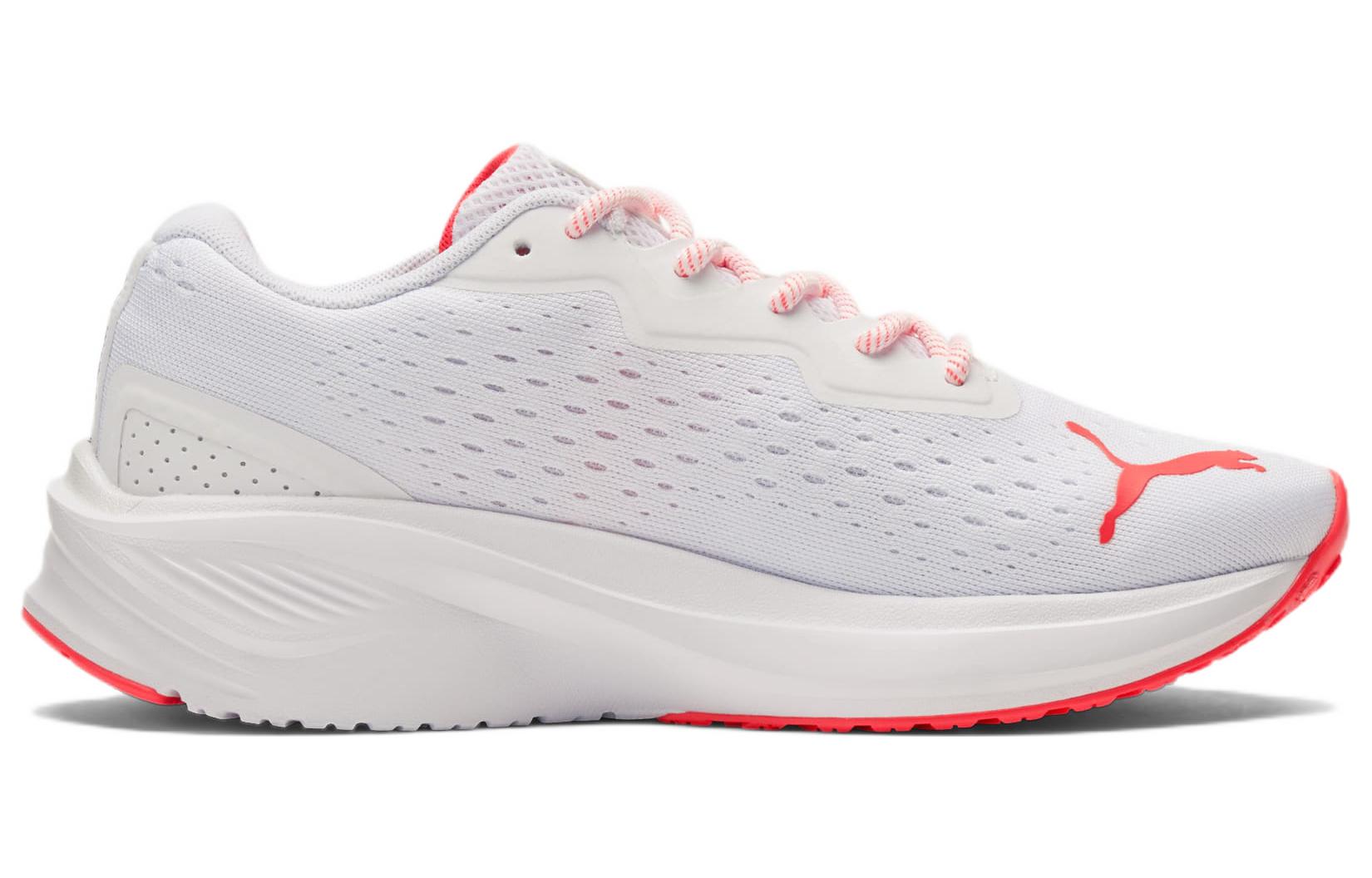 Order (W) プーマ アビエイター グラフィック "ホワイトラーヴァブラスト" 376461-01