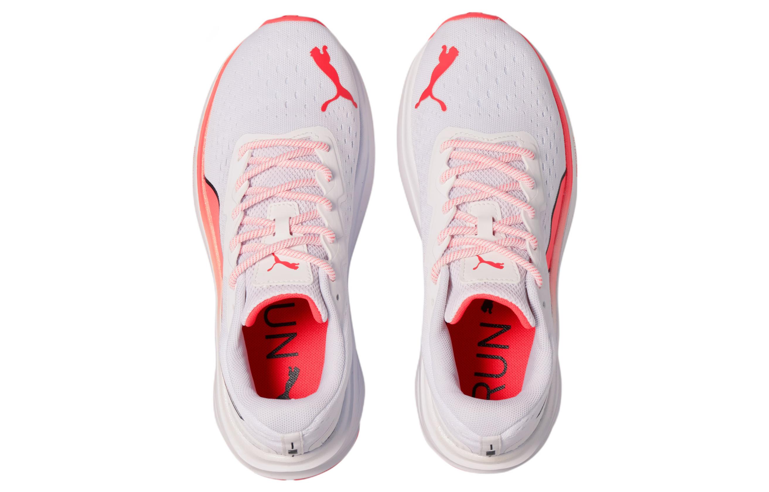 Shop (W) プーマ アビエイター グラフィック "ホワイトラーヴァブラスト" 376461-01