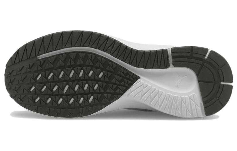 Purchase (W) Puma Aviator Low 'Putih Oranye' 195175-05