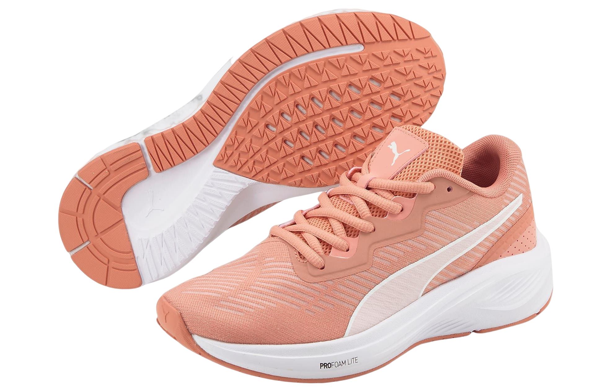 Lookbook (W) Puma Aviator ProFoam Sky ''Rosette'' chaussures 376615-07
