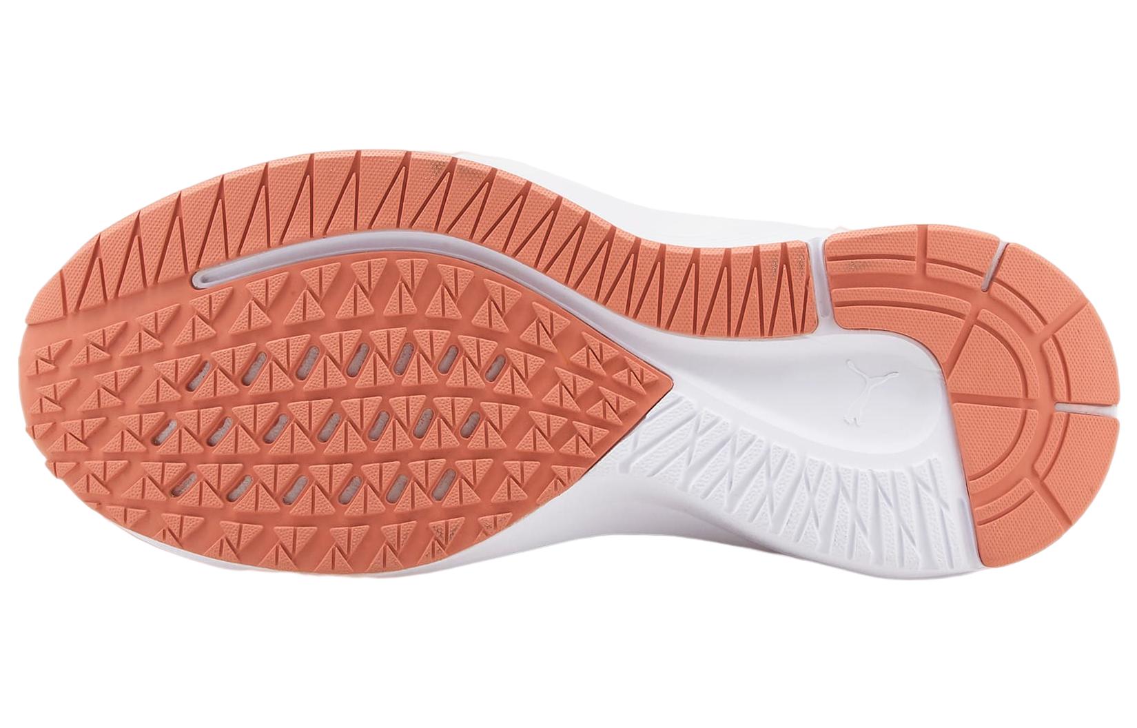 Details for (W) Puma Aviator ProFoam Sky ''Rosette'' chaussures 376615-07