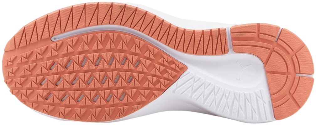 (女性)Puma Aviator ProFoam Sky 'Rosette' 376615-07 Details for (女性)Puma Aviator ProFoam Sky 'Rosette' 376615-07