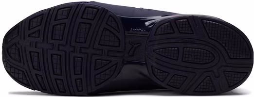 Details for (女款)Puma Axelion 免綁帶款『海軍藍蘭花影』378341-06