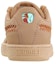 Shop (W) プーマ バスケット ブラウン (Puma Basuketto Buraun) 369318-02