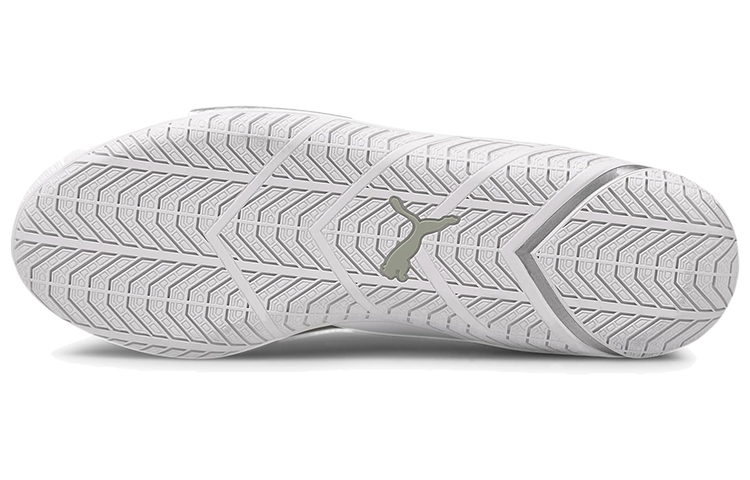 Details for (W) Puma BMW M Motorsport Ridge Cat Lage Hardloop Schoenen Wit/Grijs 306636-02
