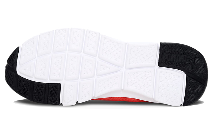 Shop (W) プーマ カモ ロー "ピンク" (Puma Camo Low "Pink") 381168-03