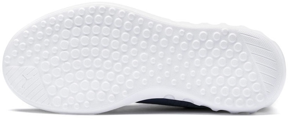 (W) Puma Carson 2 'Azul Blanco' 190038-06 Purchase (W) Puma Carson 2 'Azul Blanco' 190038-06