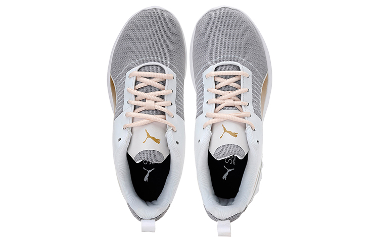 Lookbook (W) Puma Carson Pro Idp Softfoam Laufschuhe Grau/Weiß 193357-01