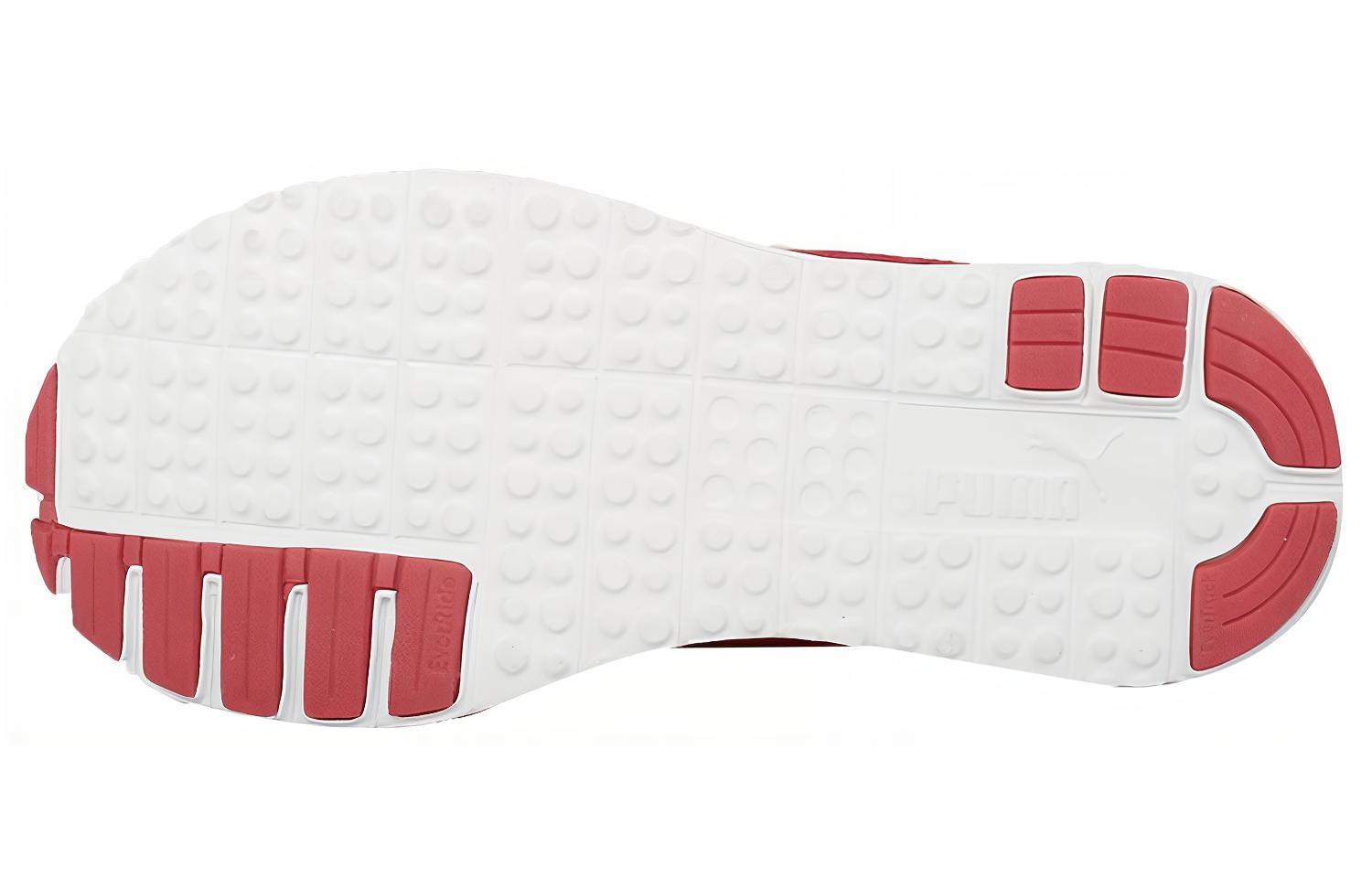 Shop (W) Puma Carson Runner Knit 'Merah Ungu' 188151-04