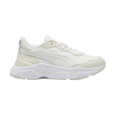 (W) Puma Cassia Rose 'Warm White Alpine Snow'