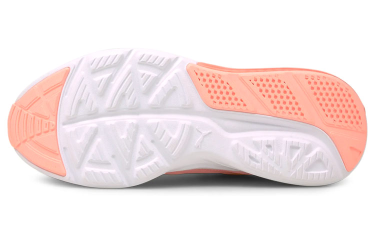 Purchase (W) Puma Cell Vive Training ''Clean Pink'' Damen Sneaker Rosa 195115-02