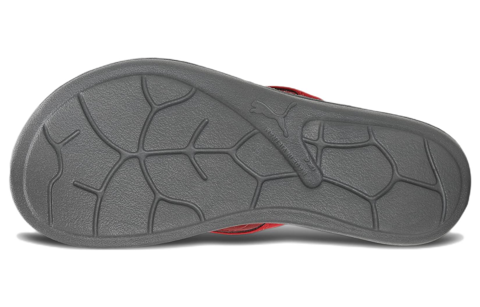 Purchase 彪馬 Daisy 運動拖鞋 女款 紅色