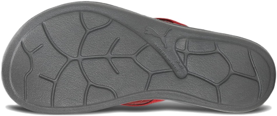 彪馬 Daisy 運動拖鞋 女款 紅色 Purchase 彪馬 Daisy 運動拖鞋 女款 紅色