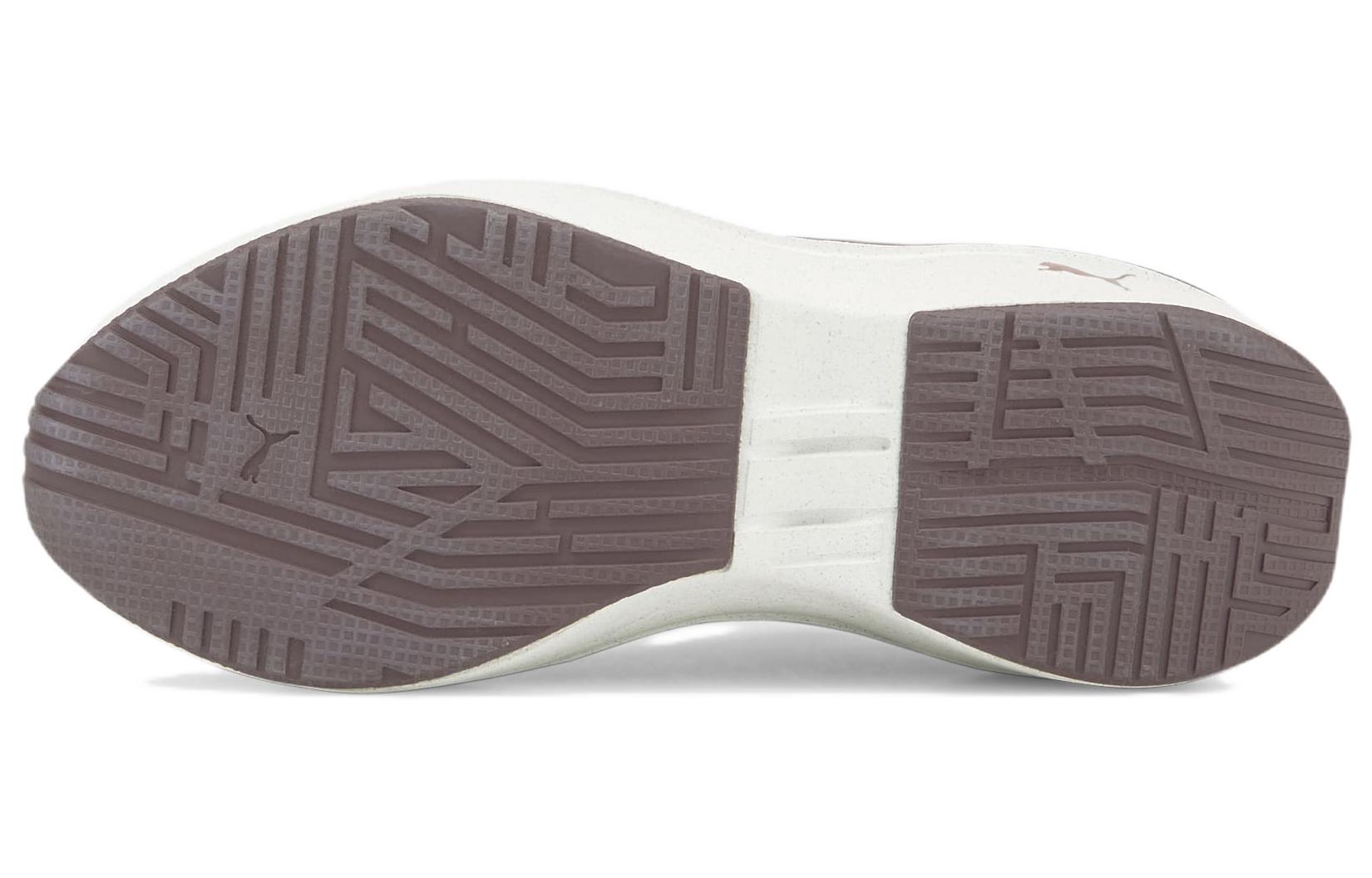 Purchase (W) Puma Enlighten Low ''Pasta di Fagioli'' 376446-08