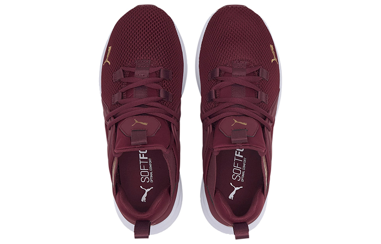 Order (W) Puma Enzo 2 'Borgoña Oro' 193256-10