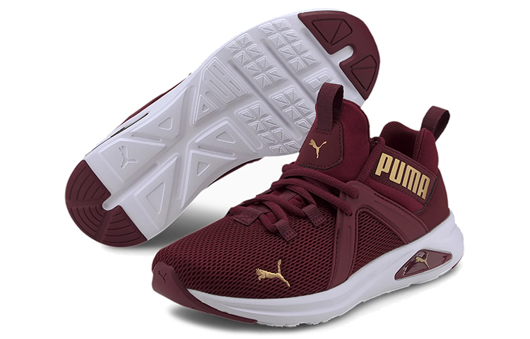 Shop (W) Puma Enzo 2 'Borgoña Oro' 193256-10