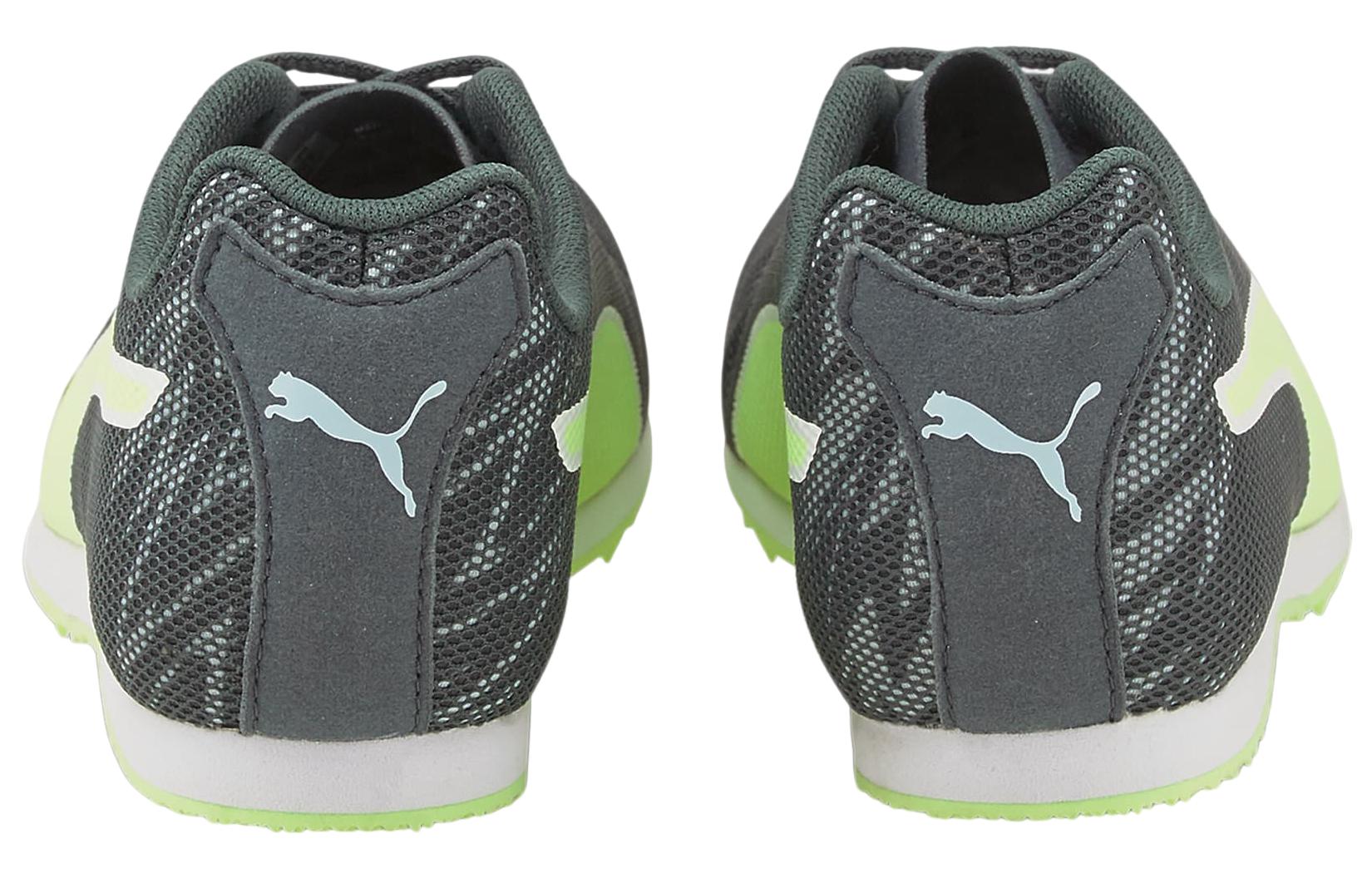 Purchase (W) Puma evoSPEED Star 7 Athlétisme ''Gris Vert'' 194479-03