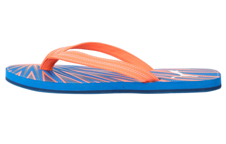 Buy (W) (レディース) プーマ エクスプレスIDP 'ブルー オレンジ' 367648-01 367648-01