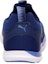 Purchase (W) Puma Flex XT 'Biru' 190447-03