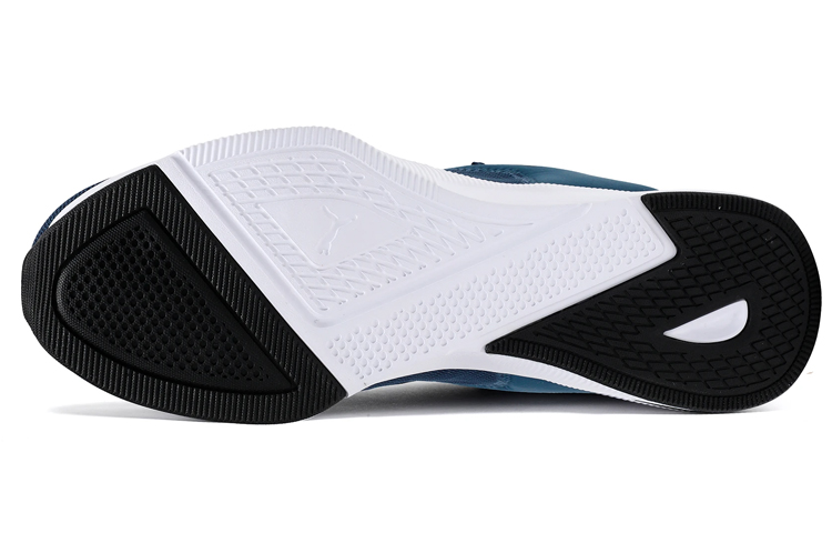 Purchase (W) Puma Flyer Imeva Moderne ''Bleu'' 192876-08