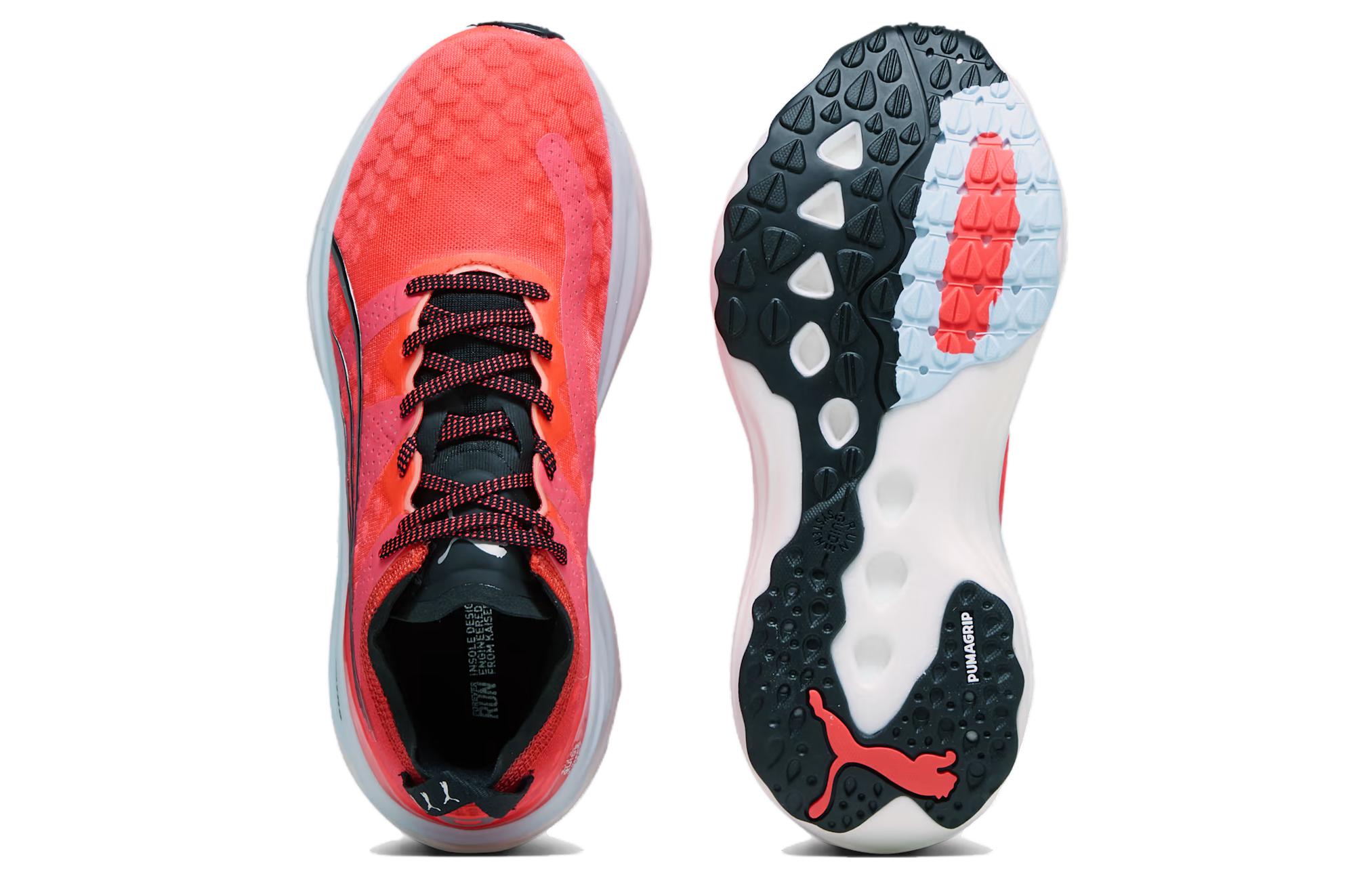 Shop (W) プーマ フォーエバーラン ニトロ "ファイヤーオーキッドシルバー" 377758-09