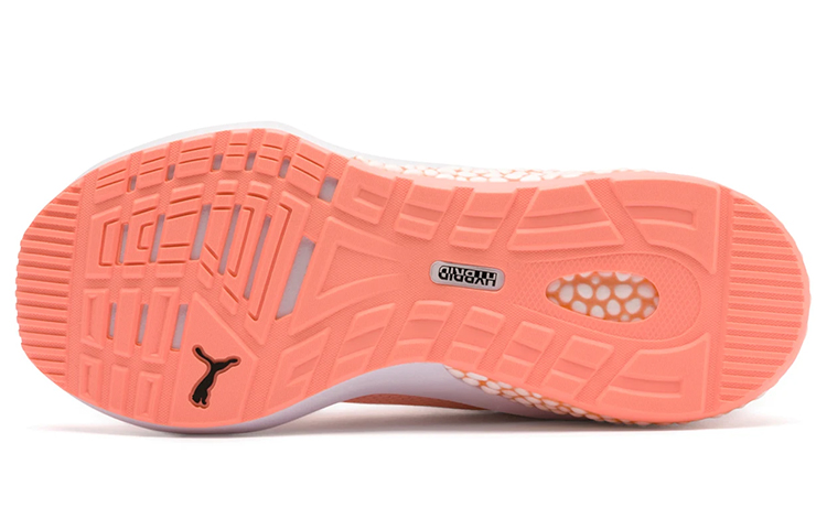 Purchase (W) Puma Hybrid Nx Rose 192268-03