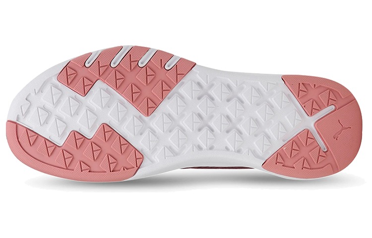 Details for (W) Puma Ignite Contender Baskets Running Rouge/Blanc 192602-01