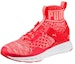 Lookbook (W) Puma Ignite Evoknit 'Merah Jambu' 189766-06
