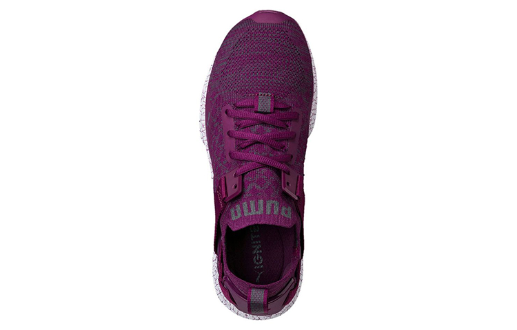 Lookbook (W) Puma Ignite evoKNIT ''Violet'' 189994-03