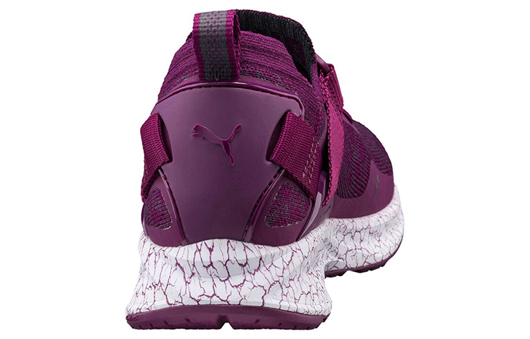 Shop (W) Puma Ignite evoKNIT ''Violet'' 189994-03
