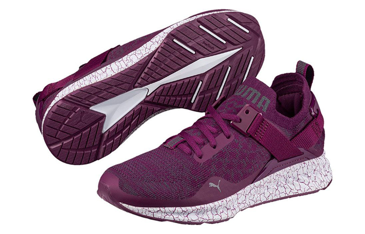 Purchase (W) Puma Ignite evoKNIT ''Violet'' 189994-03