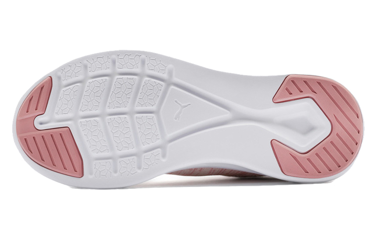 Purchase (W) Puma Ignite Flash EvoKNIT ''Rose Nuptial'' 190511-18