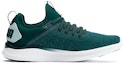 Order (W) 彪马IGNITE Flash Evoknit绿白跑鞋 192457-01