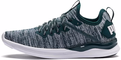(Women) Puma Ignite Flash Evoknit 'Gray Green White' 190511-16 (Women) Puma Ignite Flash Evoknit 'Gray Green White' 190511-16