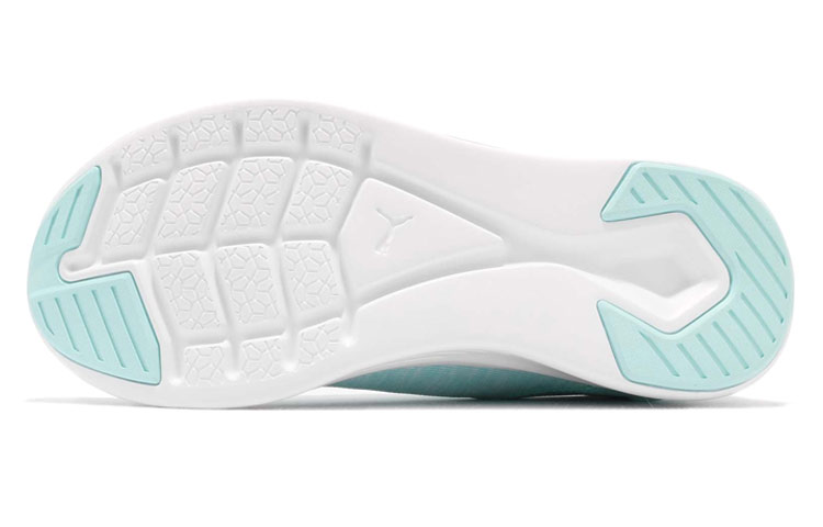 Purchase Puma Ignite Flash Evoknit 女款 水藍 低幫運動鞋