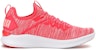 (W) Puma Ignite Flash Evoknit 'Merah Putih' 190511-03