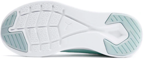 Purchase (W) Puma Ignite Flash EvoKnit SR '清爽水蓝' 192457-02