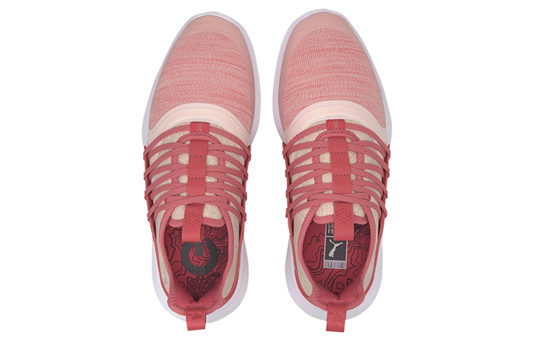 Lookbook (W) Puma Ignite NXT "Rosa Low-Top Casual Running" 192229-05