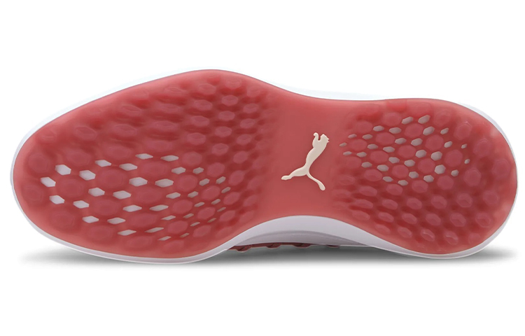Purchase (W) Puma Ignite NXT "Rosa Low-Top Casual Running" 192229-05