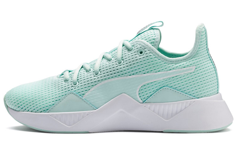 Buy (W) Puma Incite FS ''Cosmic Quarry Blau'' 192452-02