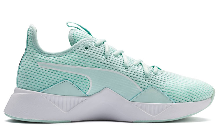 Order (W) Puma Incite FS ''Cosmic Quarry Blau'' 192452-02