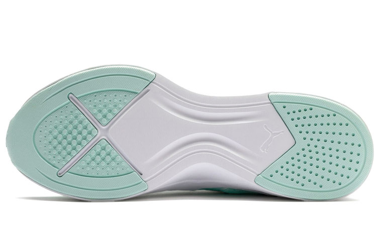 Purchase (W) Puma Incite FS ''Cosmic Quarry Blau'' 192452-02