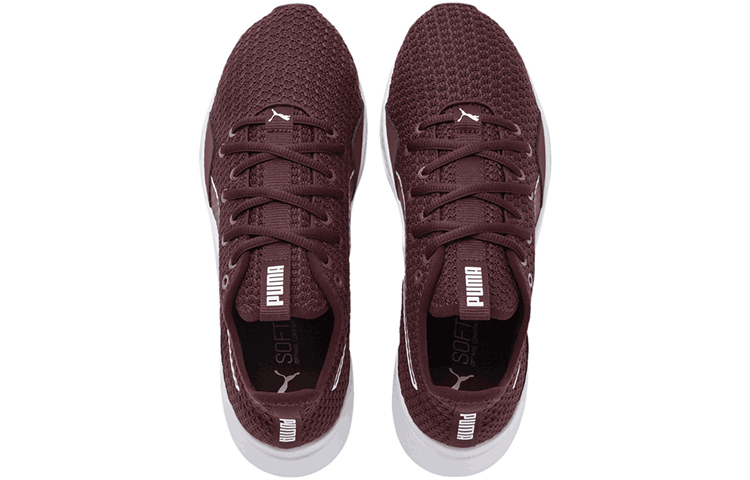 Lookbook (W) Puma Incite Fs Baskets ''Marron'' 191763-08