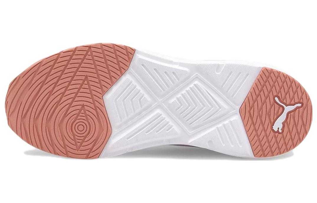 Purchase (W) Puma Lex Crystalline ''Blanc Marron'' 376227-01