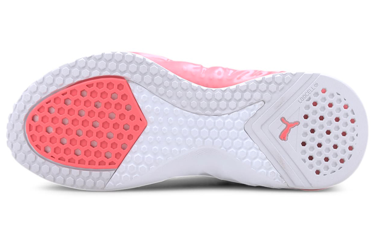 Purchase (W) Puma Lqdcell Hydra Negro/Rosa 193083-01