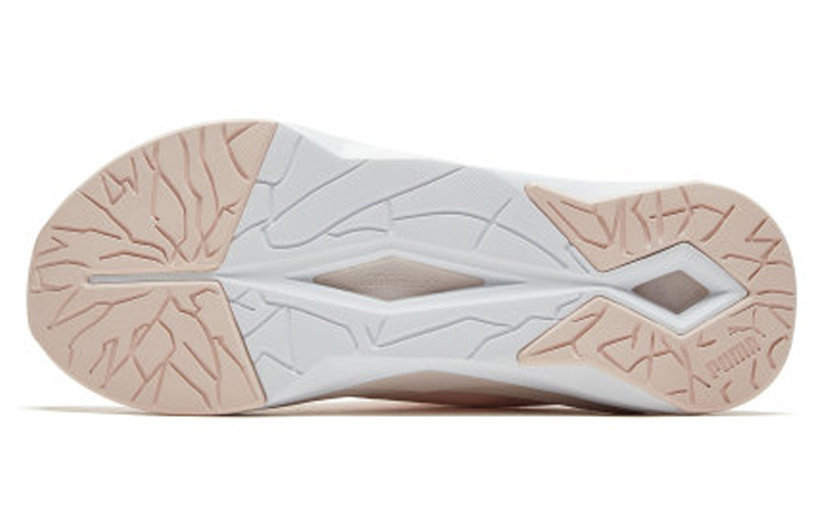 Purchase (W) Puma Lqdcell Shatter Xt Nc ''Rose'' 193651-04